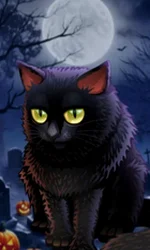 Spooky Halloween